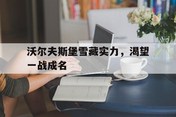 包含沃尔夫斯堡雪藏实力，渴望一战成名的词条