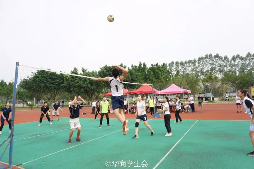 关于小球队重振旗鼓，卫冕冠军未能抵挡攻势的信息
