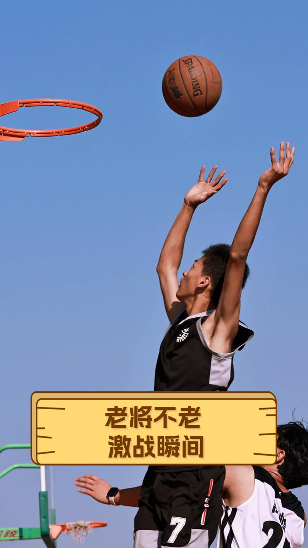 老将球员发挥稳定，对球队贡献突出